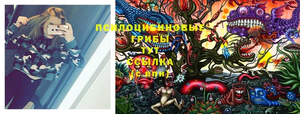 хмурый Заводоуковск