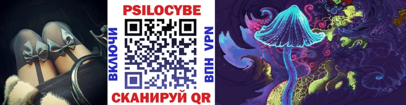 Псилоцибиновые грибы GOLDEN TEACHER  купить наркоту  Каргополь 
